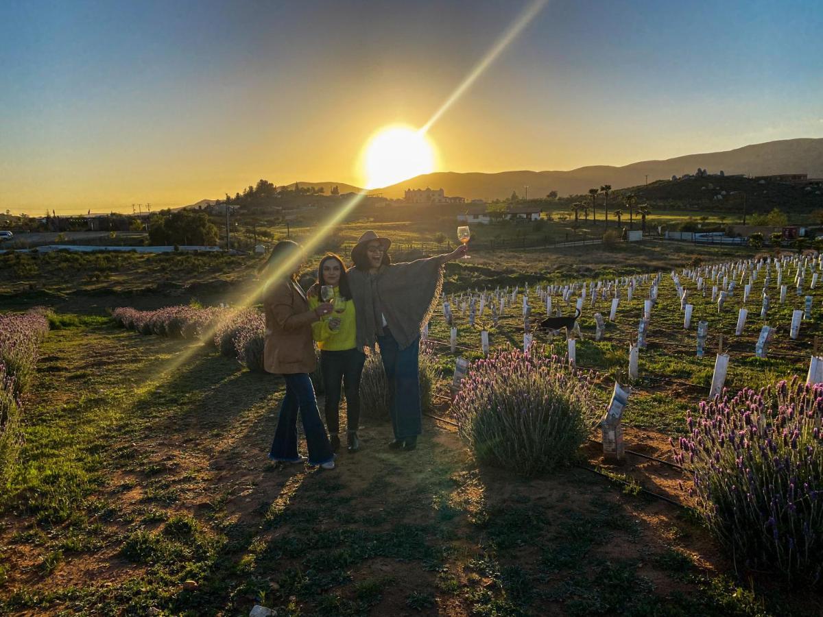 Cuatro Lunas Hotel Boutique Valle de Guadalupe Zewnętrze zdjęcie