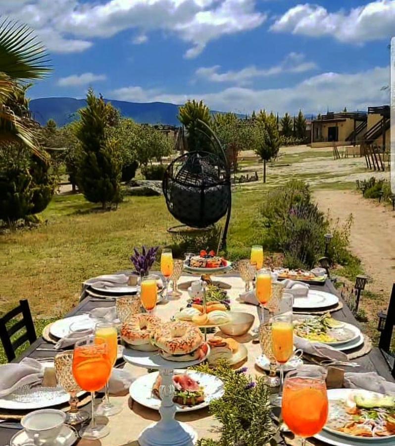 Cuatro Lunas Hotel Boutique Valle de Guadalupe Zewnętrze zdjęcie